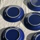 Set of 12 vintage blue ceramic plates D23