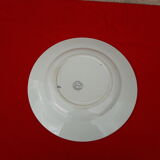 Earthenware plate of St Amand Hamage model n ° 52 diam 22 cm early XX th