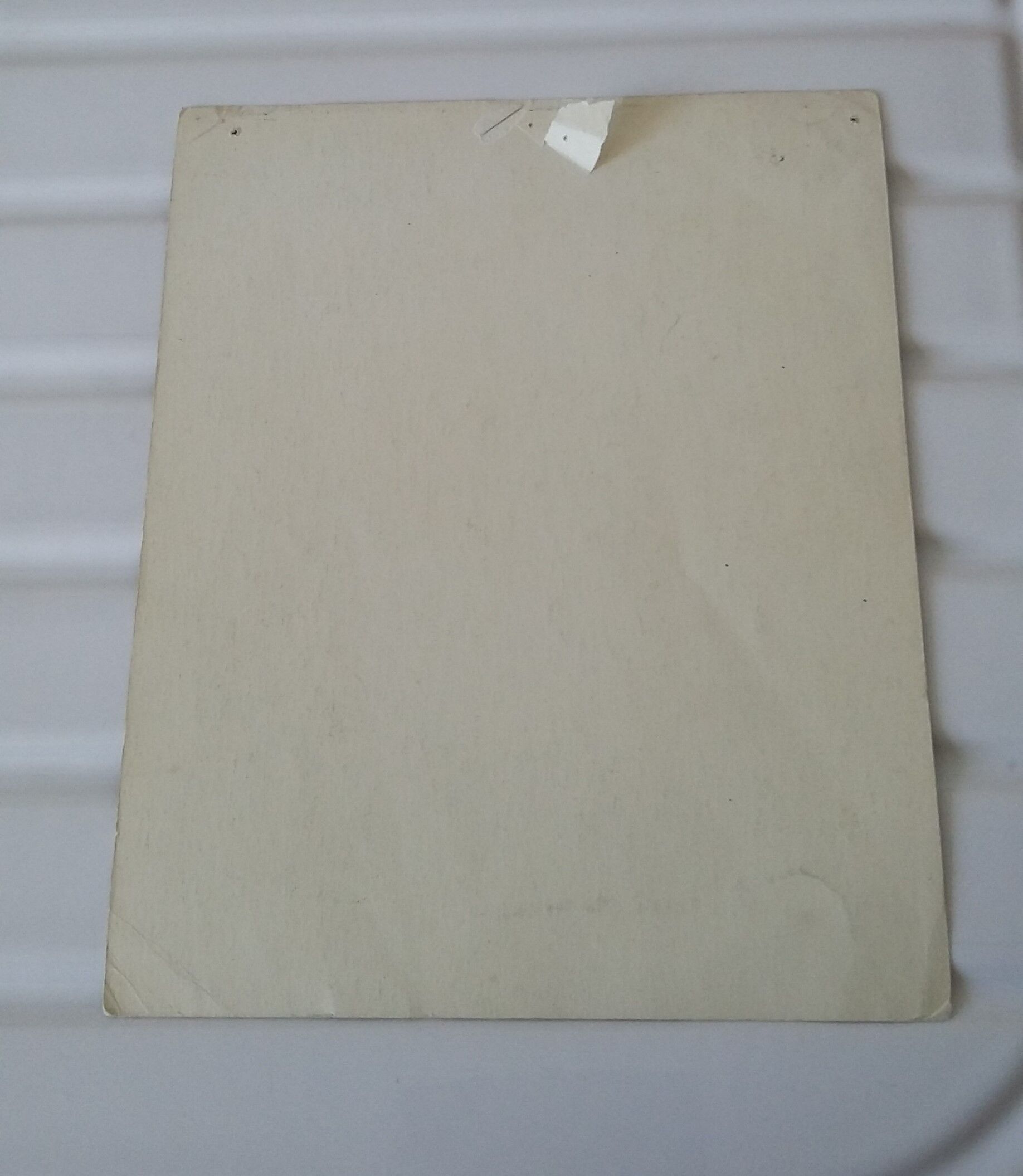 Reading image : the goose