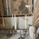 Pair of rocaille candlesticks in gilded bronze