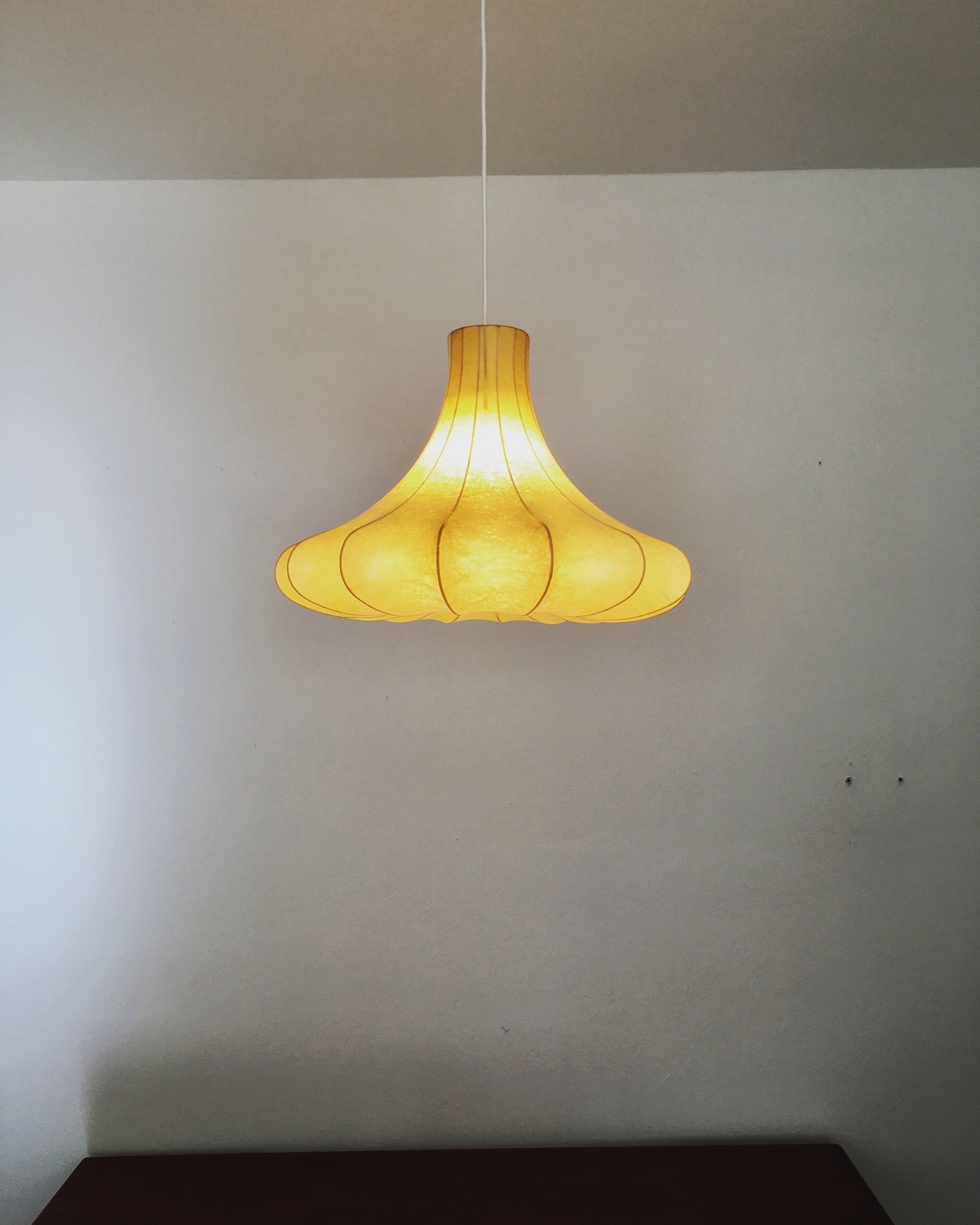 Cocoon hanging lamp from the 1950