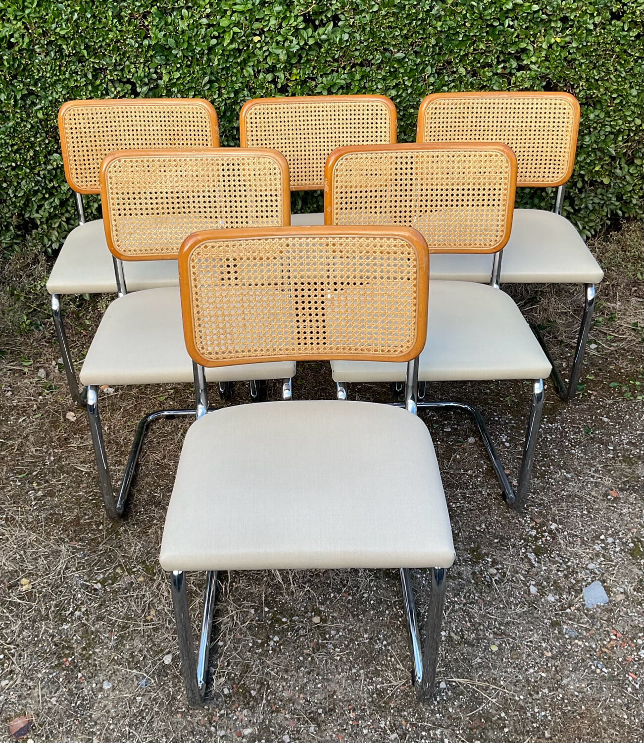 Series of 6 chairs Marcel Breuer Cesca B32