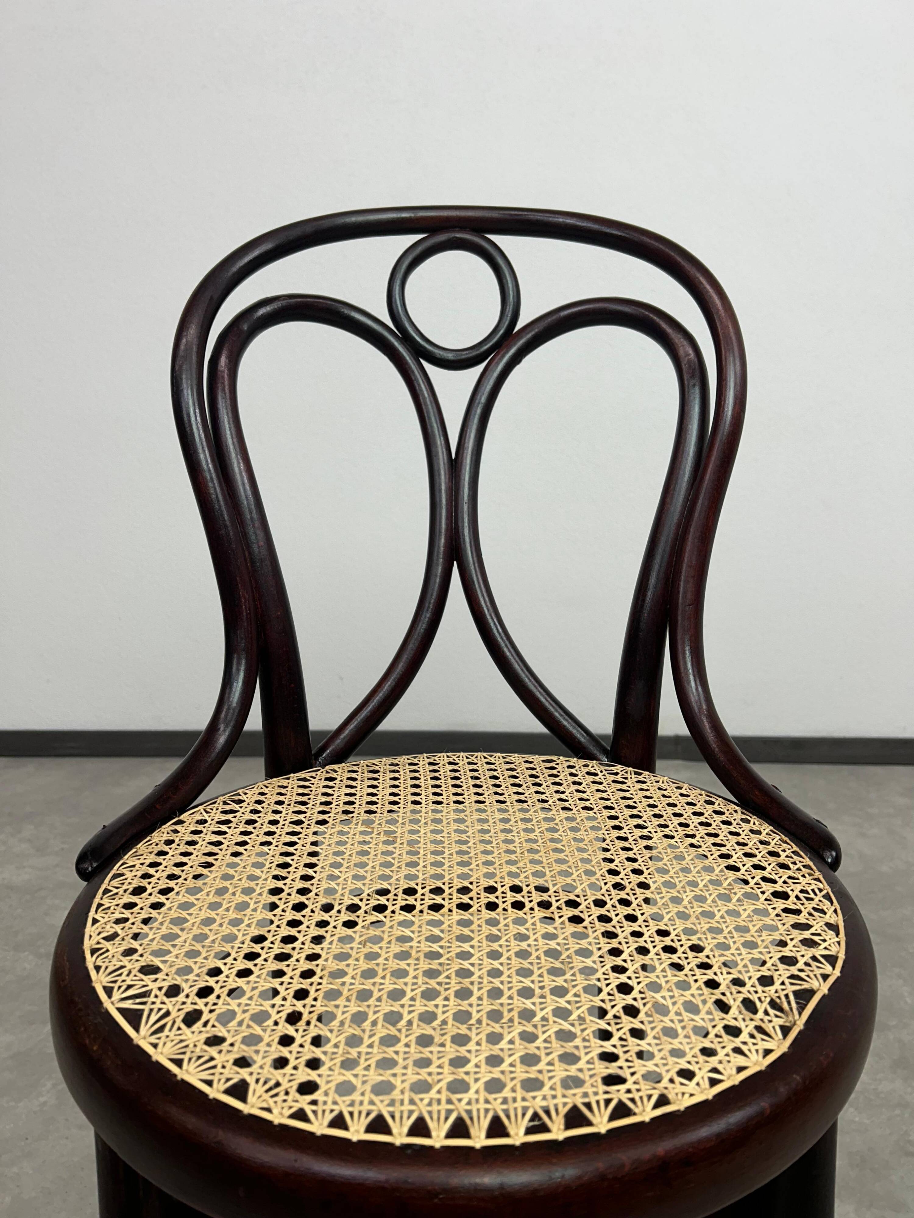 Bentwood dining chair No. 19 by Thonet