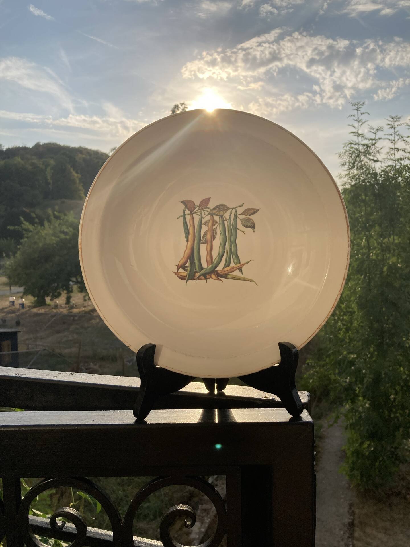 Fireproof porcelain serving dish Gien France botanical pattern