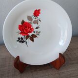 Lot de 4 assiettes à soupe Arcopal