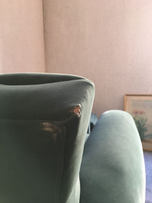 Paire de fauteuils clubs à moustache