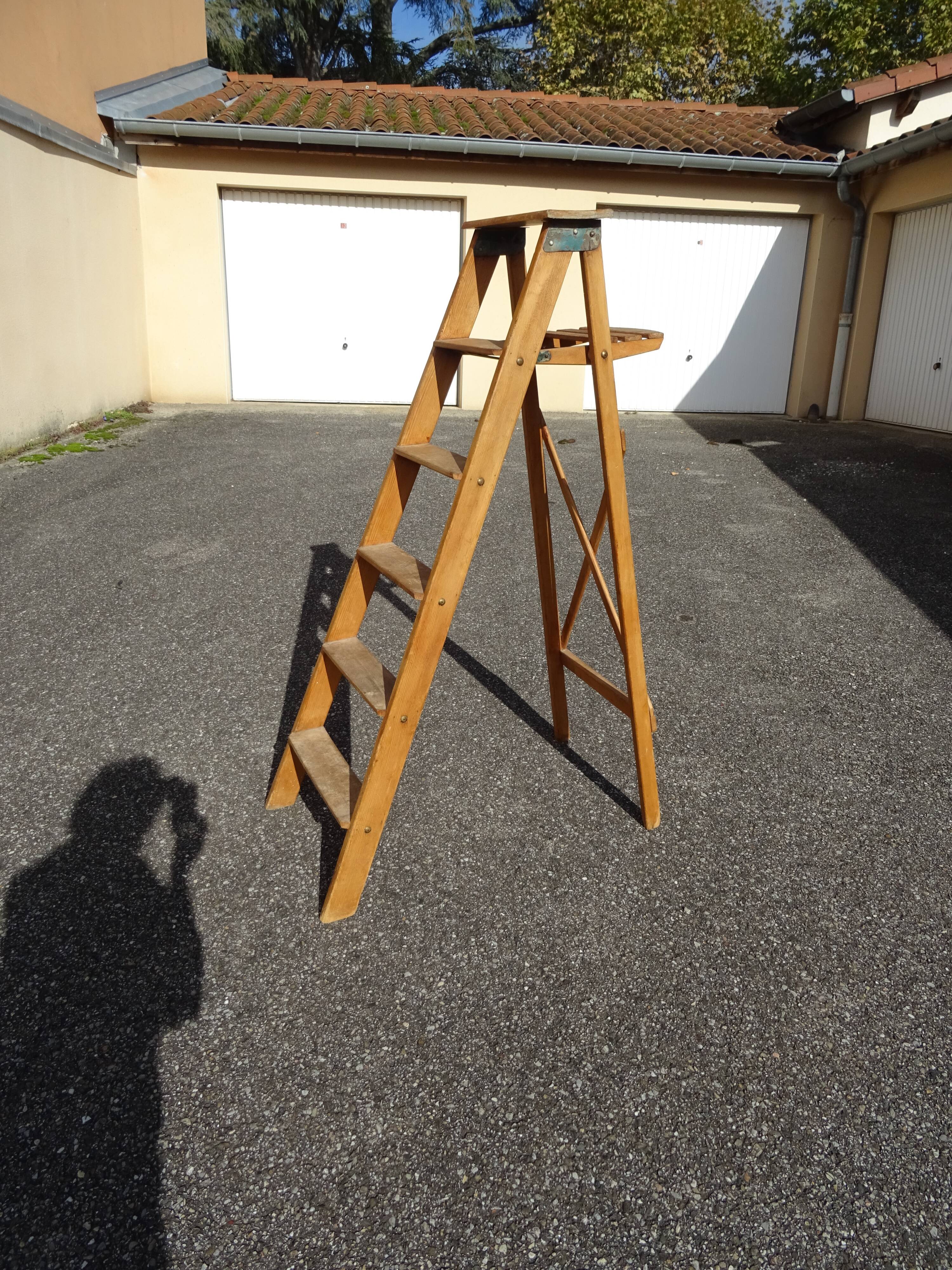 Montana France painter's stepladder