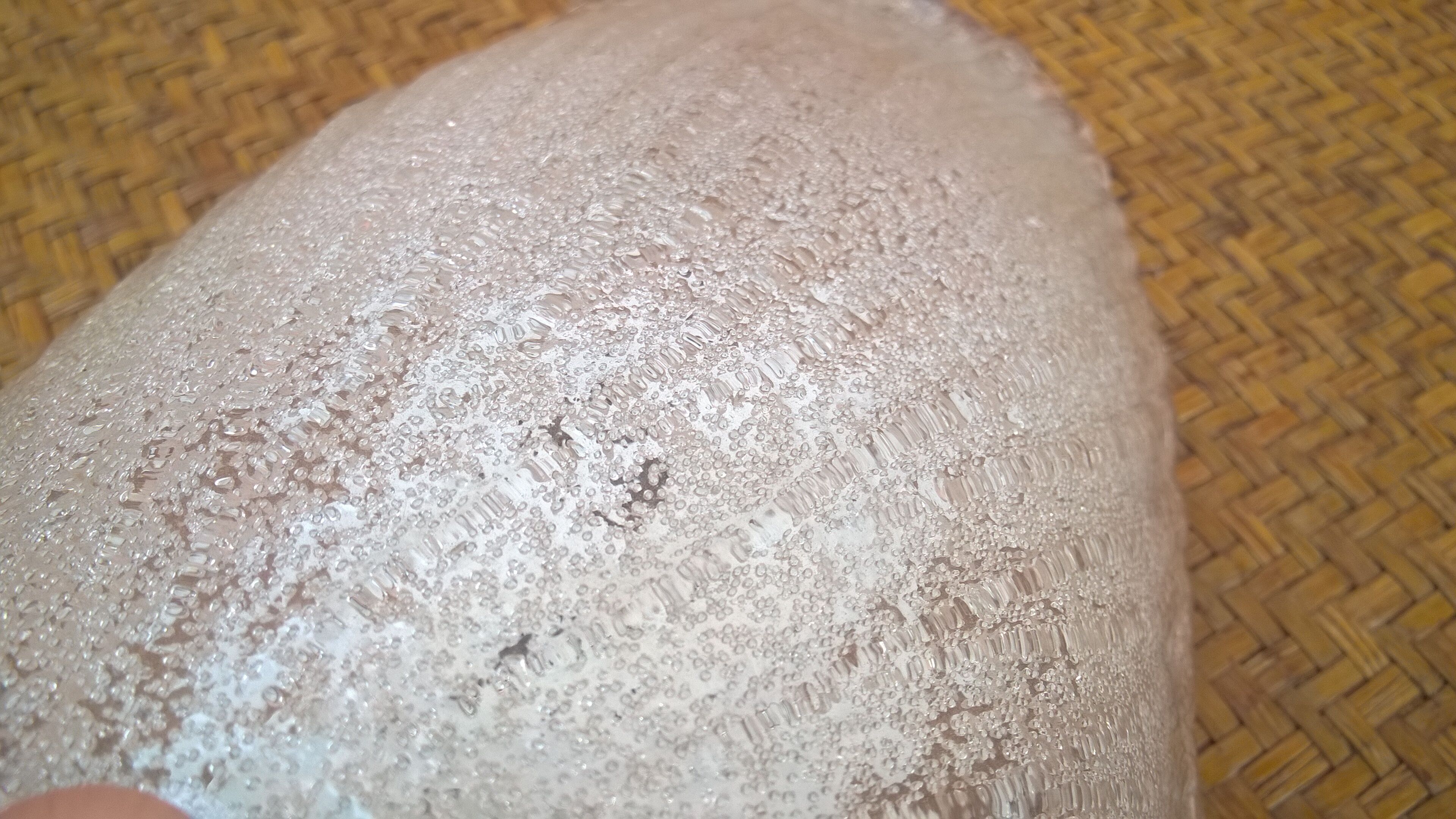 murano glass shell wall light