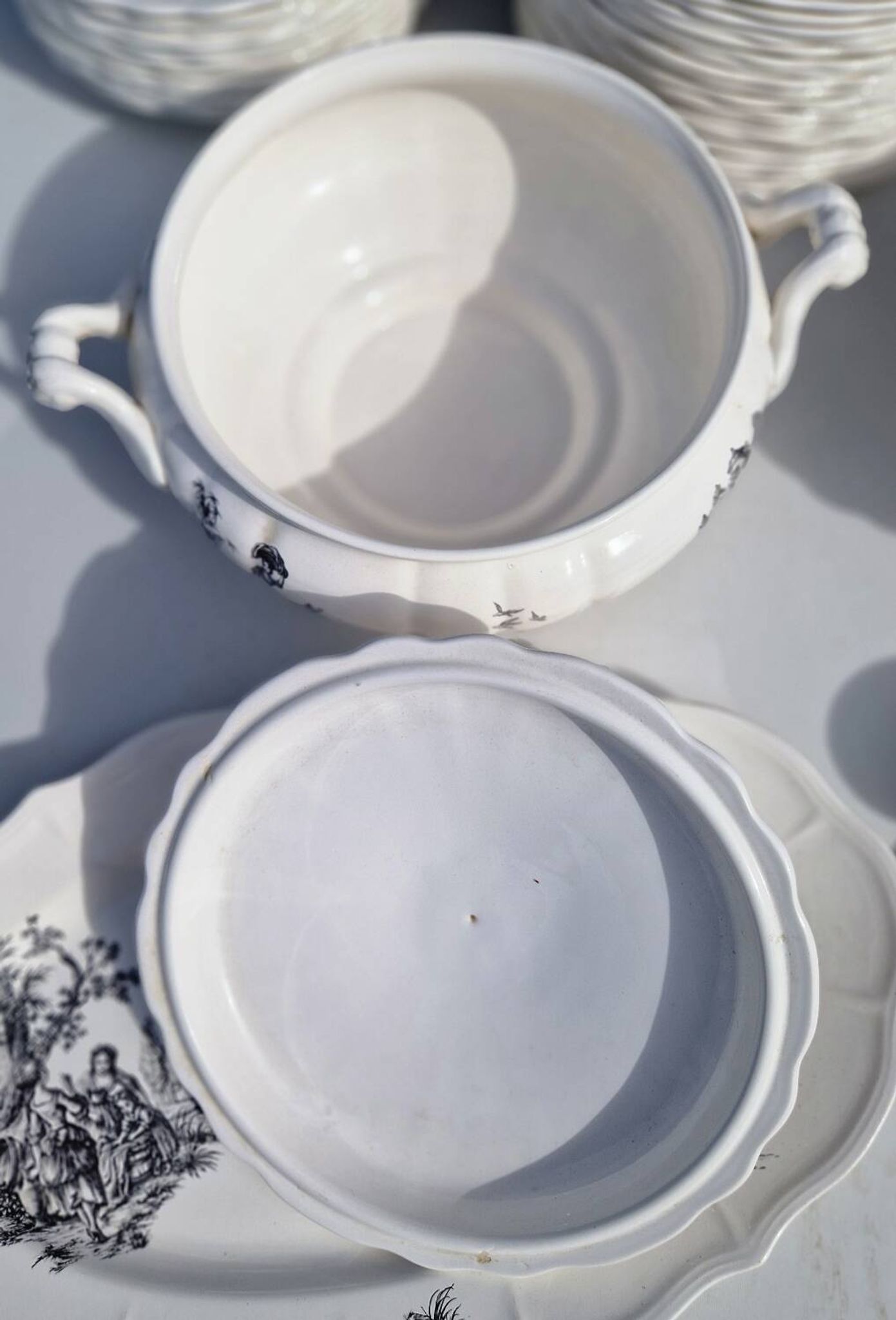 Salins earthenware table service model Chantal, 55 pieces.