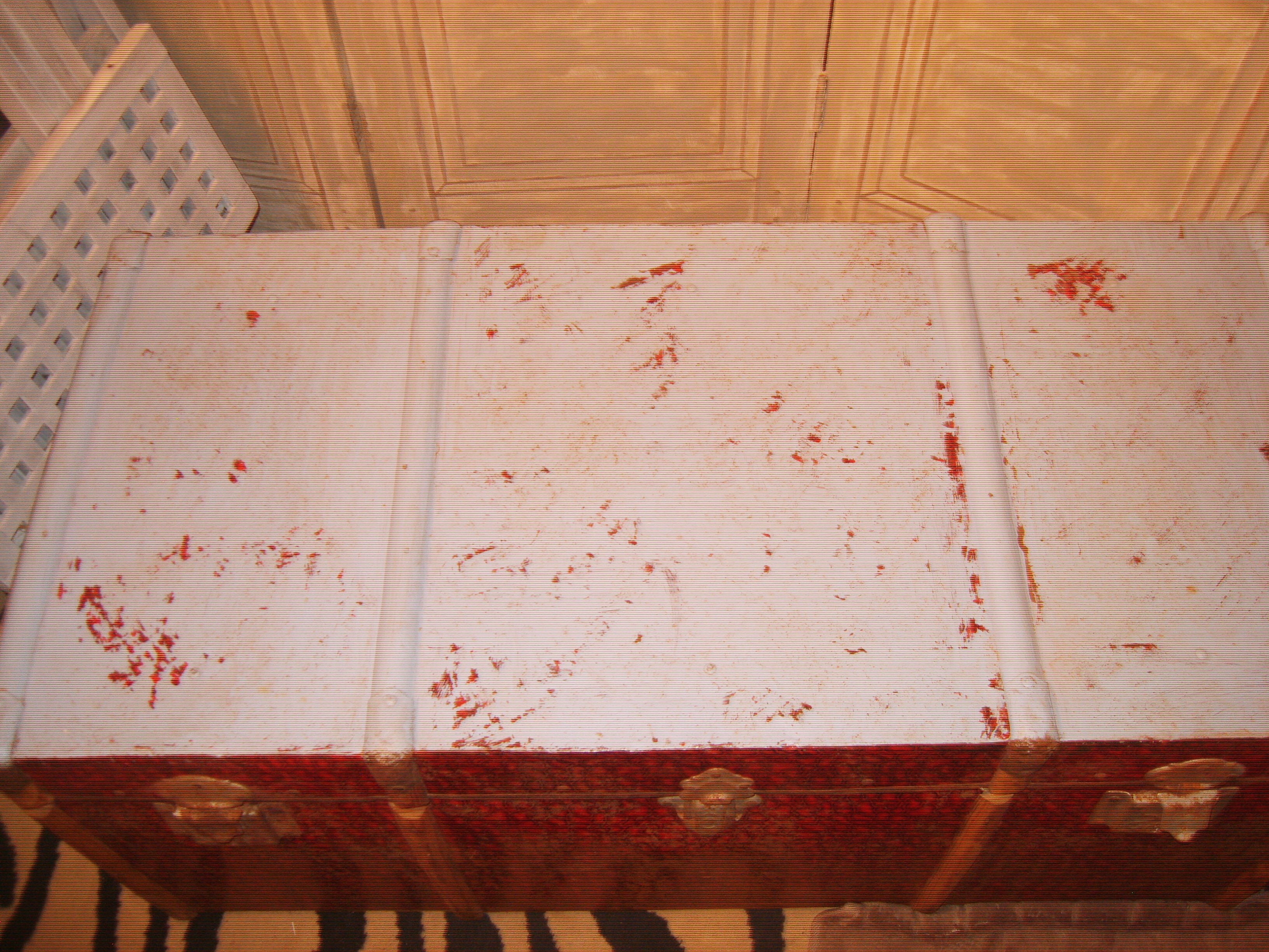 trunk of the "Portugal"