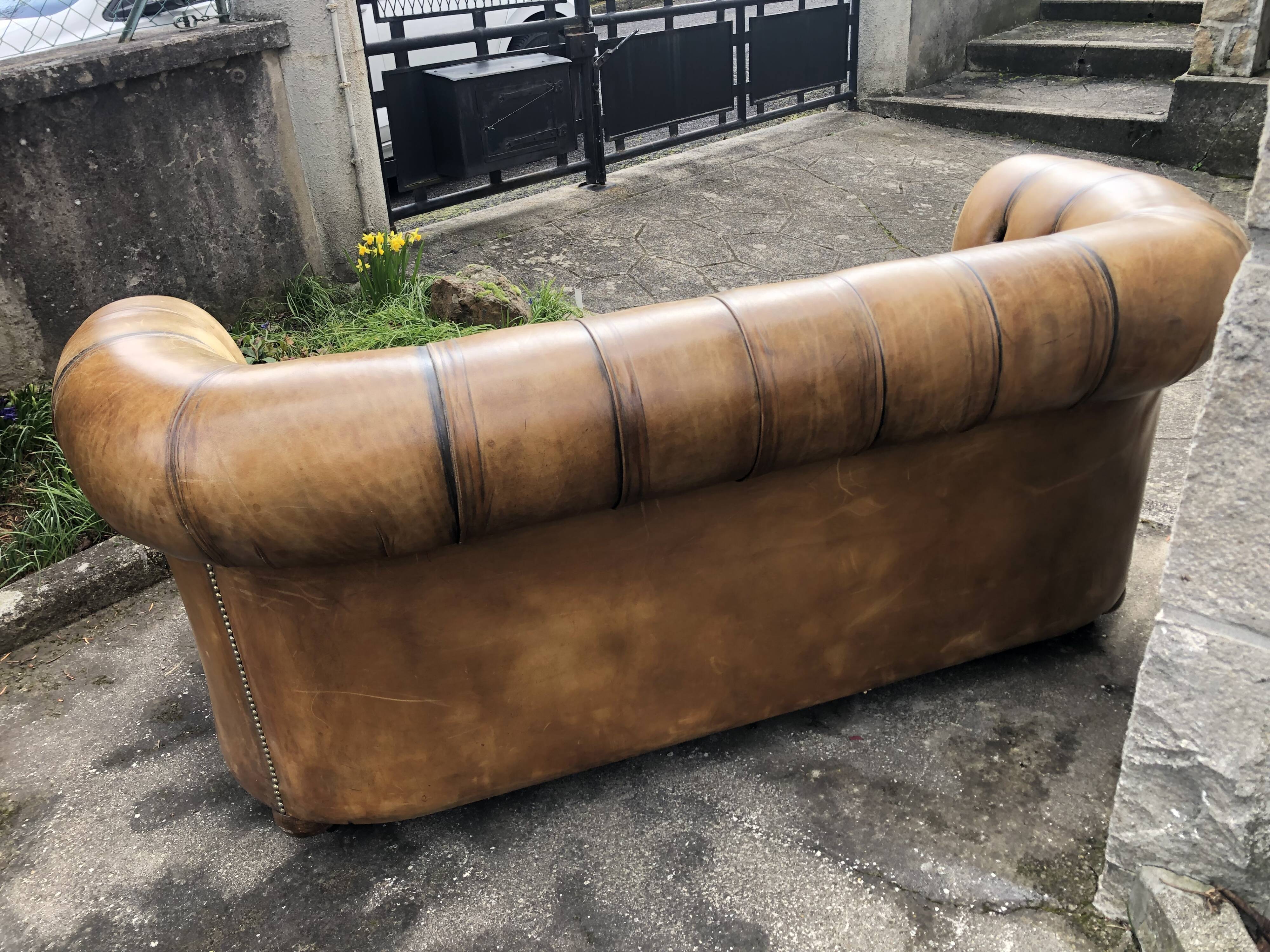2-seater Chesterfield sofa in tan leather