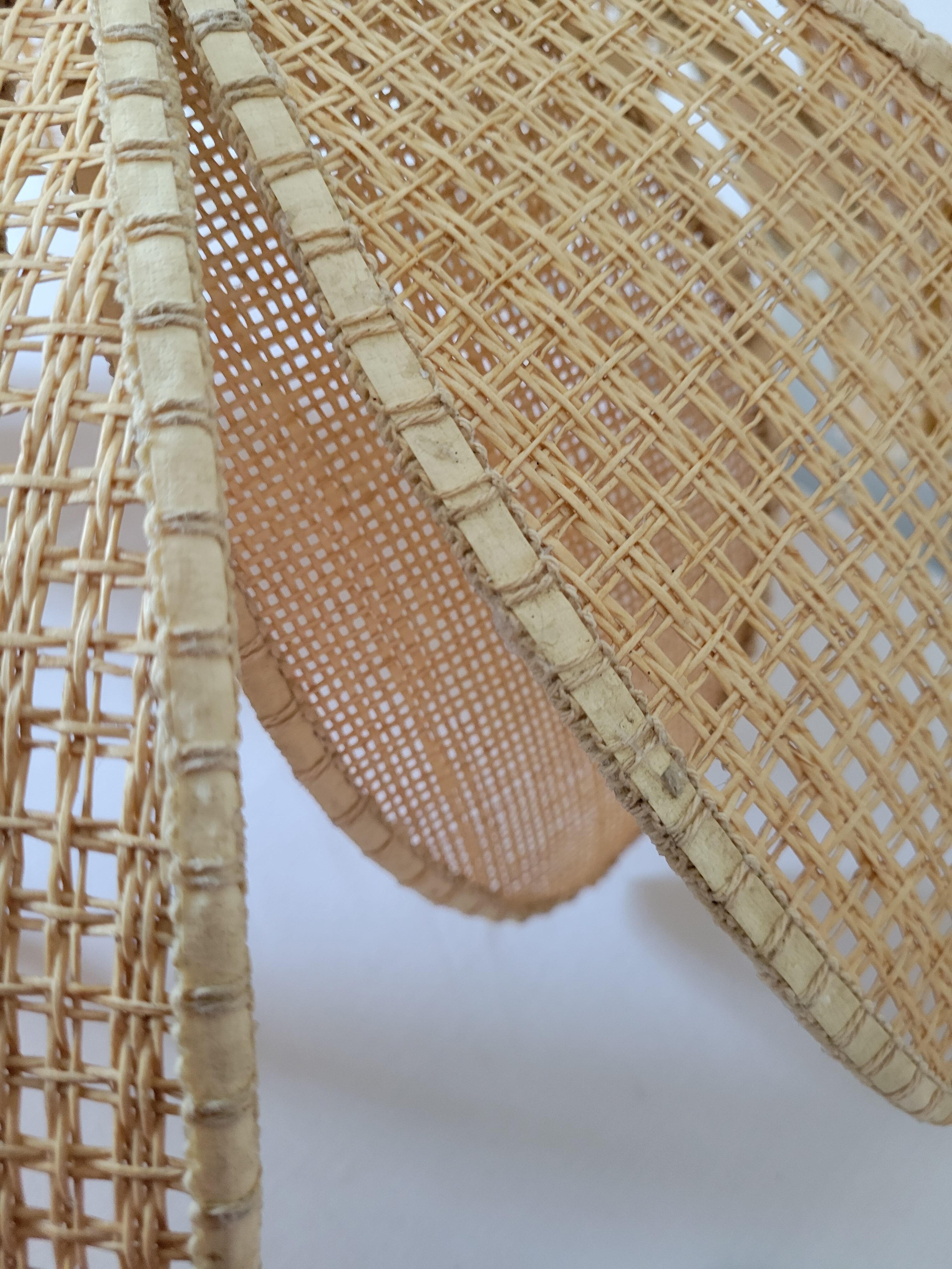 Rattan palm suspension and canning