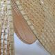 Rattan palm suspension and canning