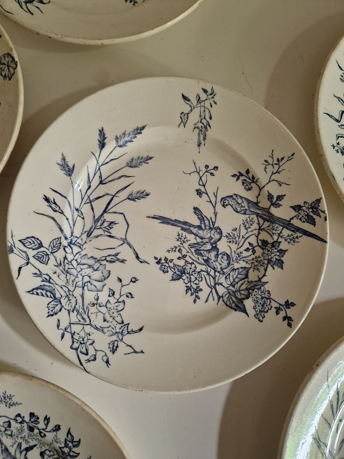 Lot De 9 Assiettes Plates Terre De Fer