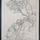 Louis John Endres (1896-1989) - Dessin au fusain sur papier - Paysage Tizi N'Test, Grand Atlas Maroc