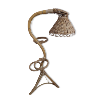 Lamppost door planted in rattan