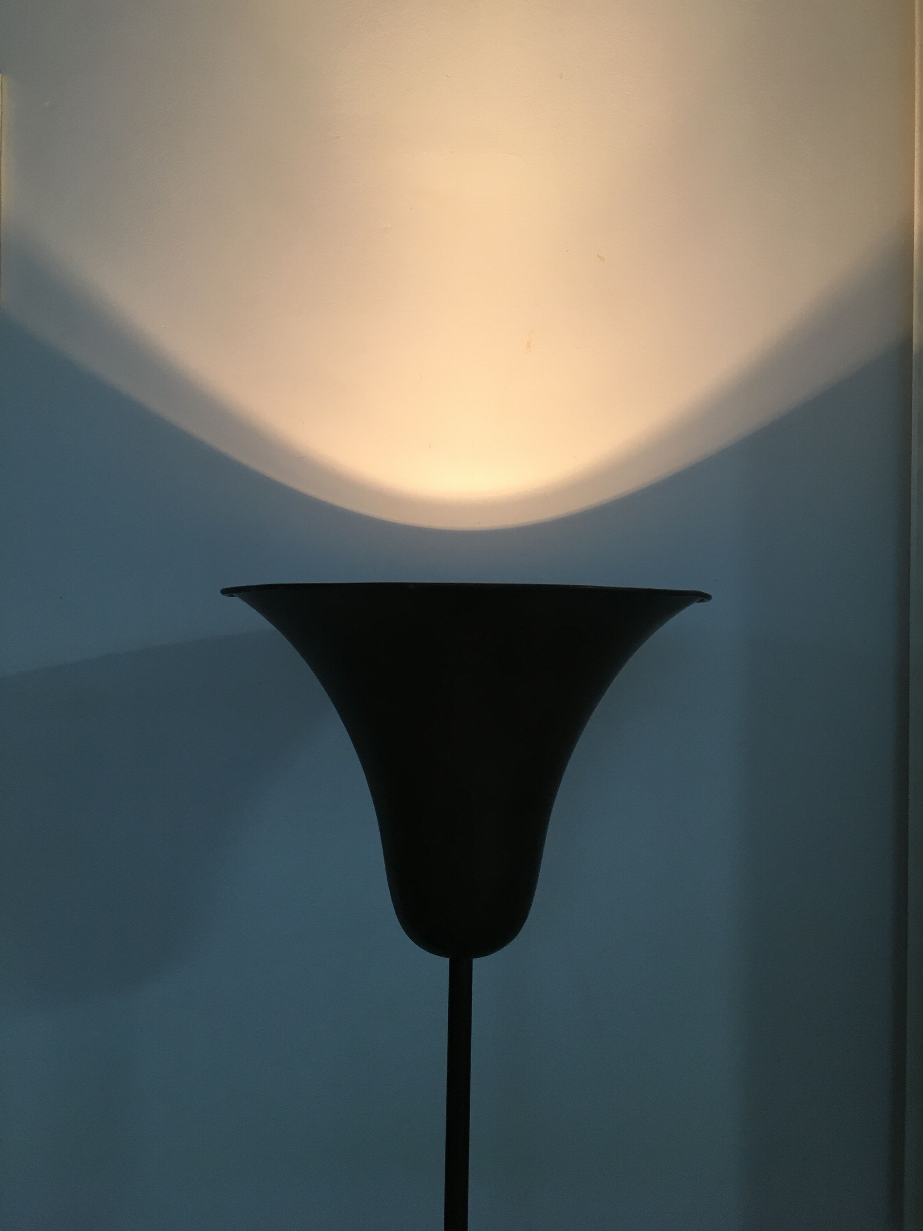 Tulip floor lamp