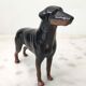 John Beswick porcelain dog