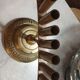 Cane door
