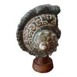 Shell lamp