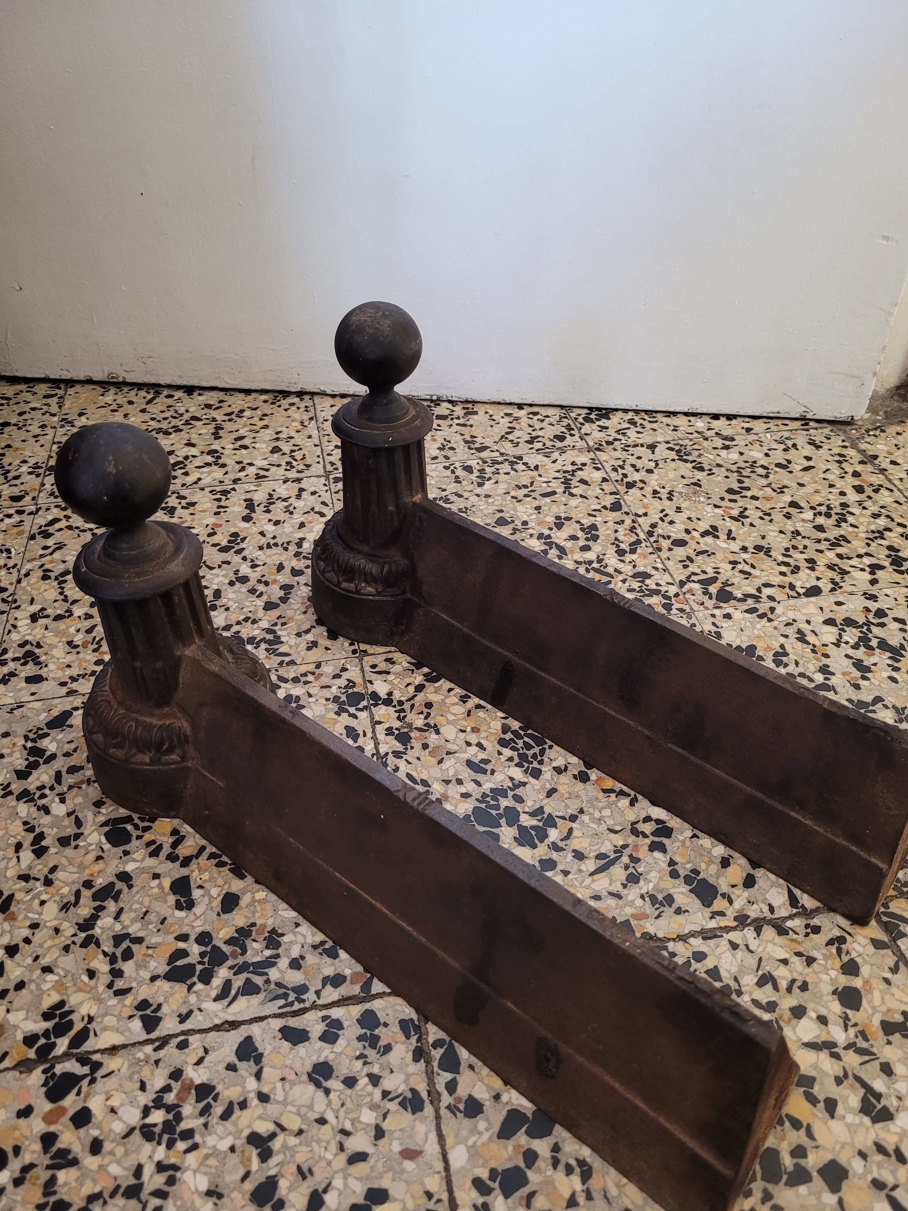 Beautiful pair of caterpillars