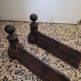 Beautiful pair of caterpillars