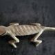 6 vintage knife rests, brass crocodiles, in excellent condition.