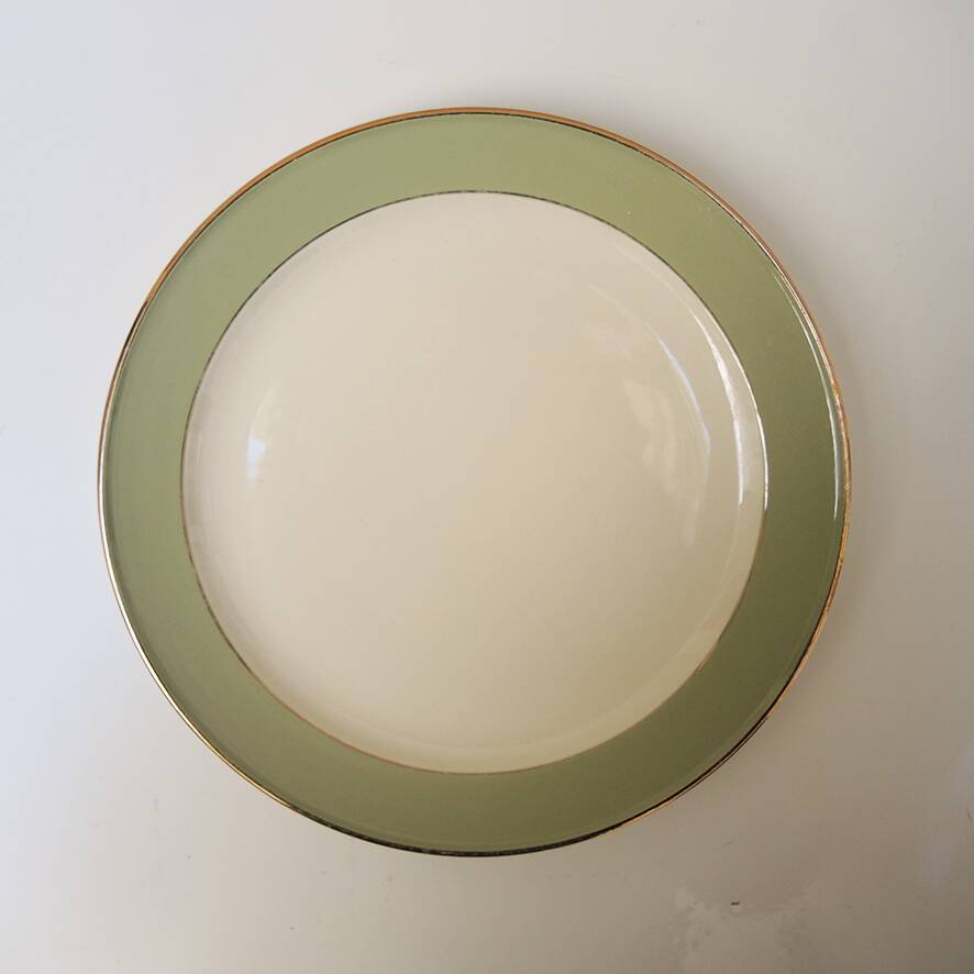 22 Antique Villeroy & Boch Celadon Dinner Plates