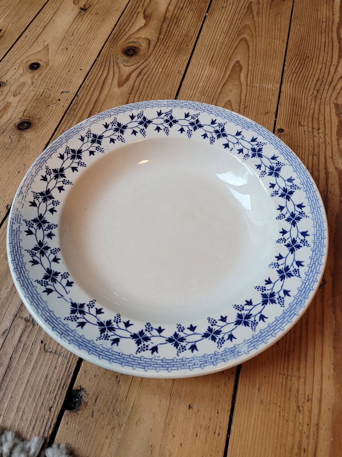 Large Bluets soup plate from Moulin des Loups and Hamage