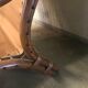 Set of 2 retro rattan armchairs