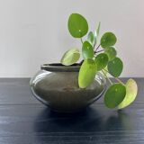Olive green flowerpot
