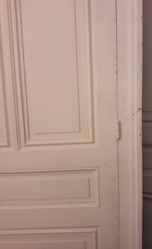 Haussmannian door 82.5x219cm