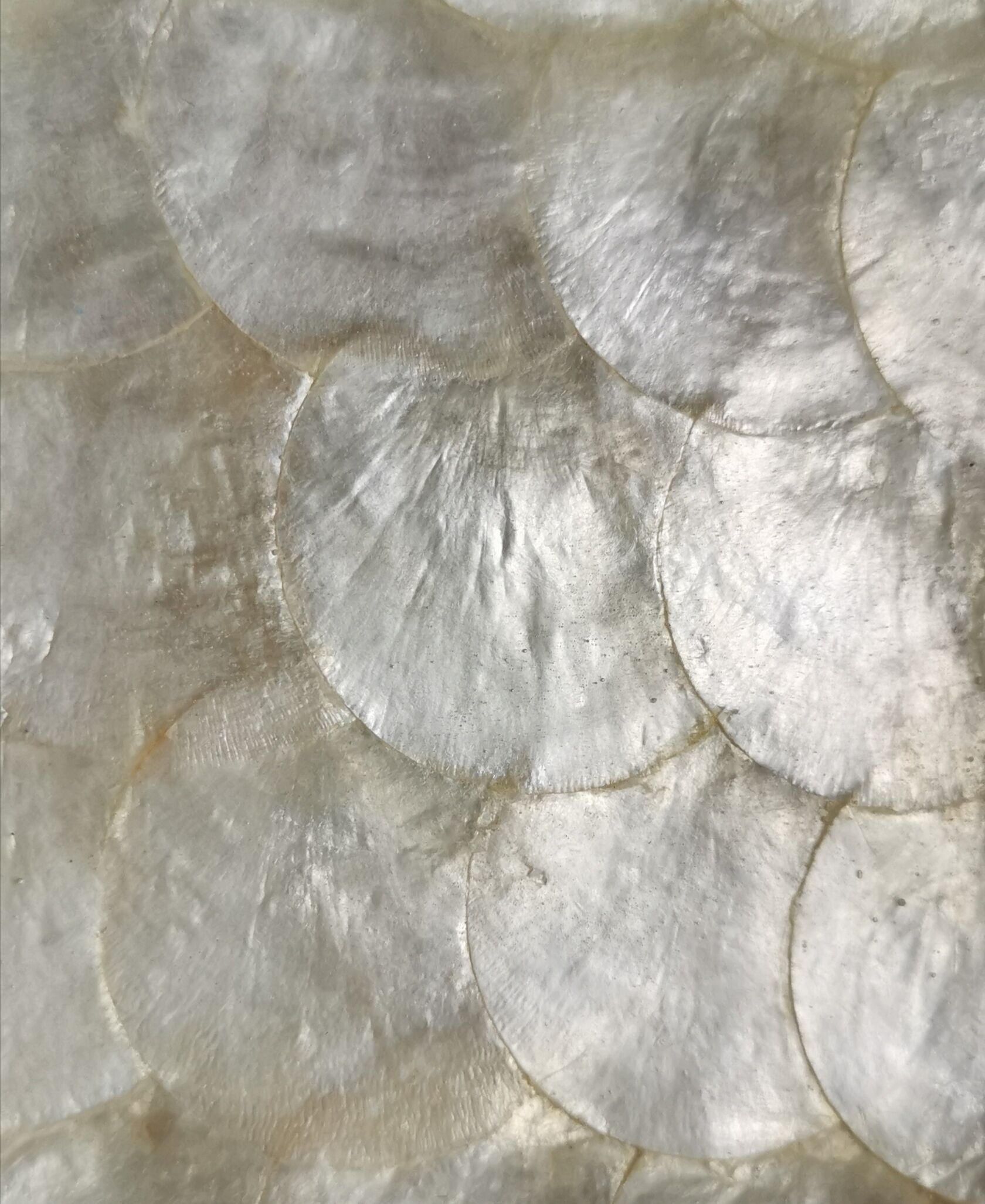 Trays mother-of-pearl petals and vintage fiber