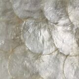 Trays mother-of-pearl petals and vintage fiber