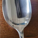 10 silver plated table spoons