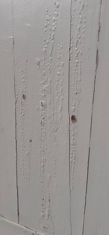 Pair of 19th-century cupboard doors and frame, woodwork