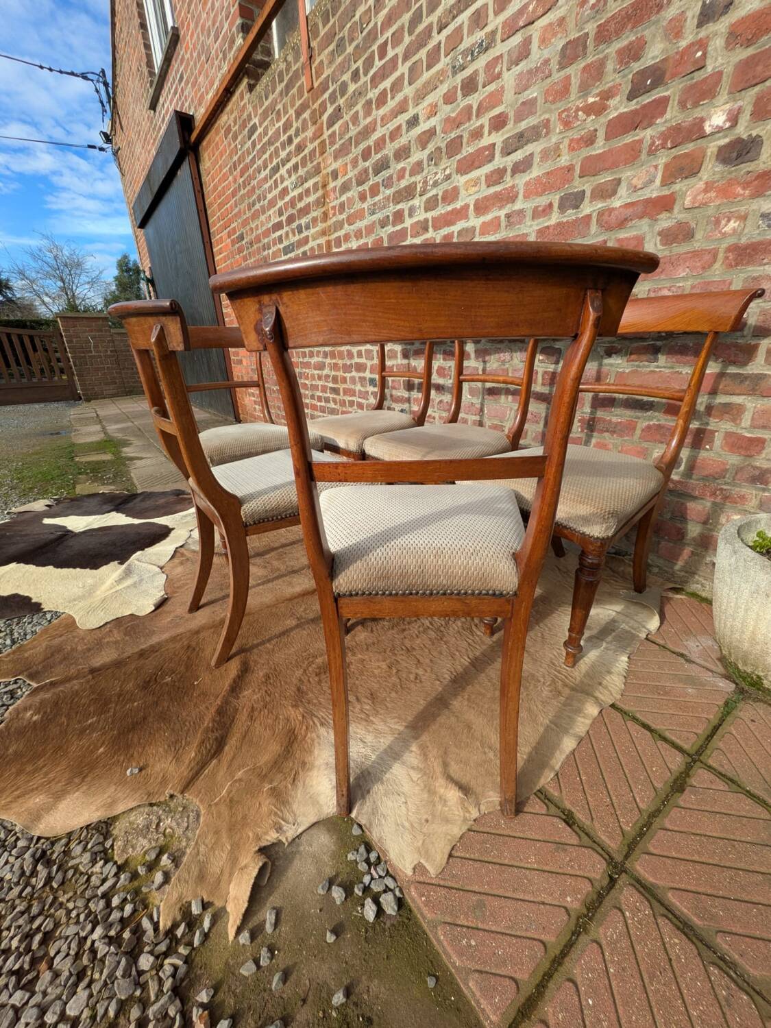 Set of mahogany chairs
