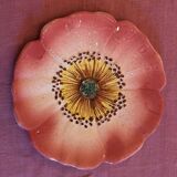 Service of 6 plates of barbotine with wild rose flowers Delphine Massier Vallauris