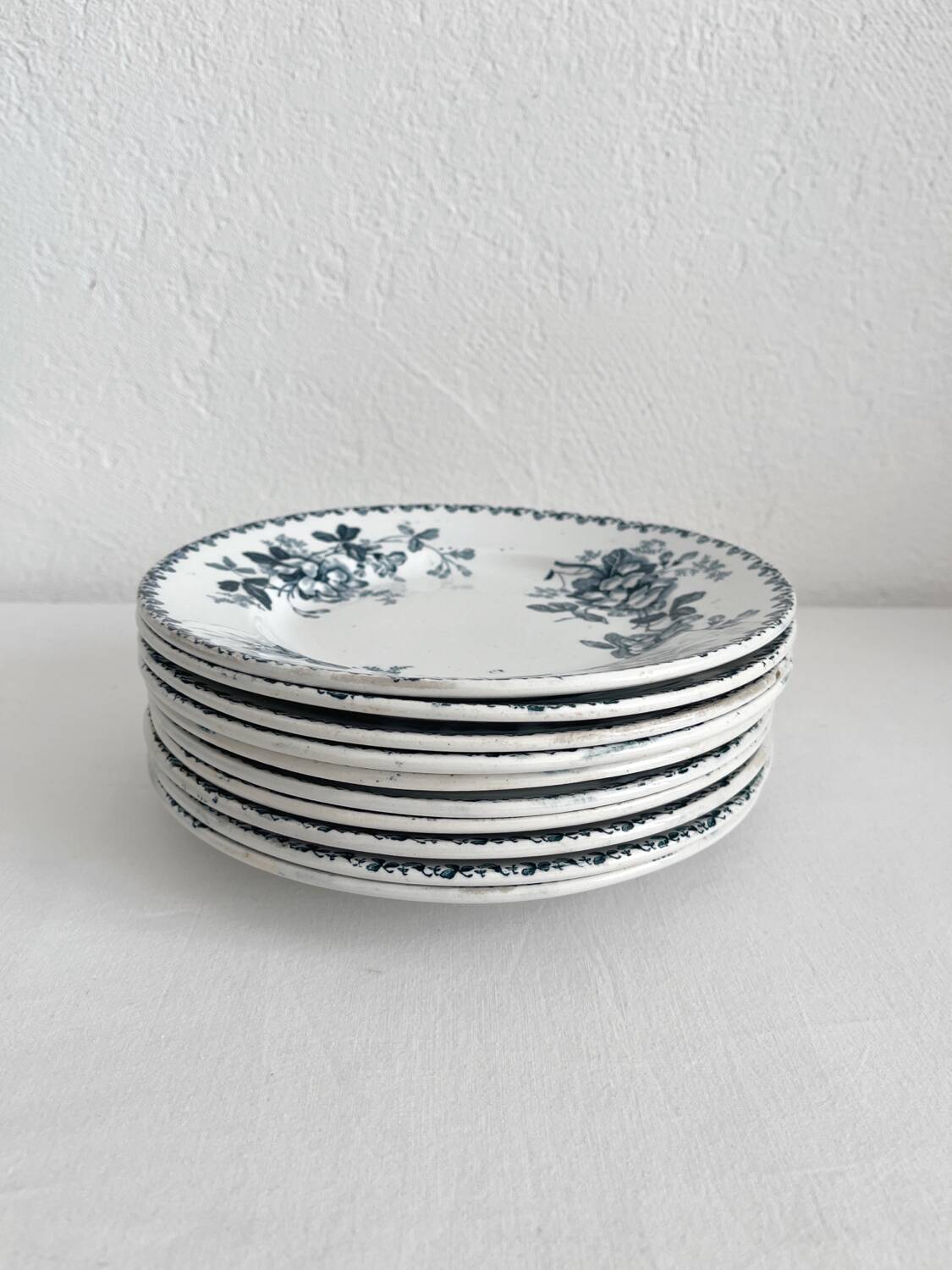 10 assiettes plates en terre de fer « Acacia » Moulin des Loups et Hamage
