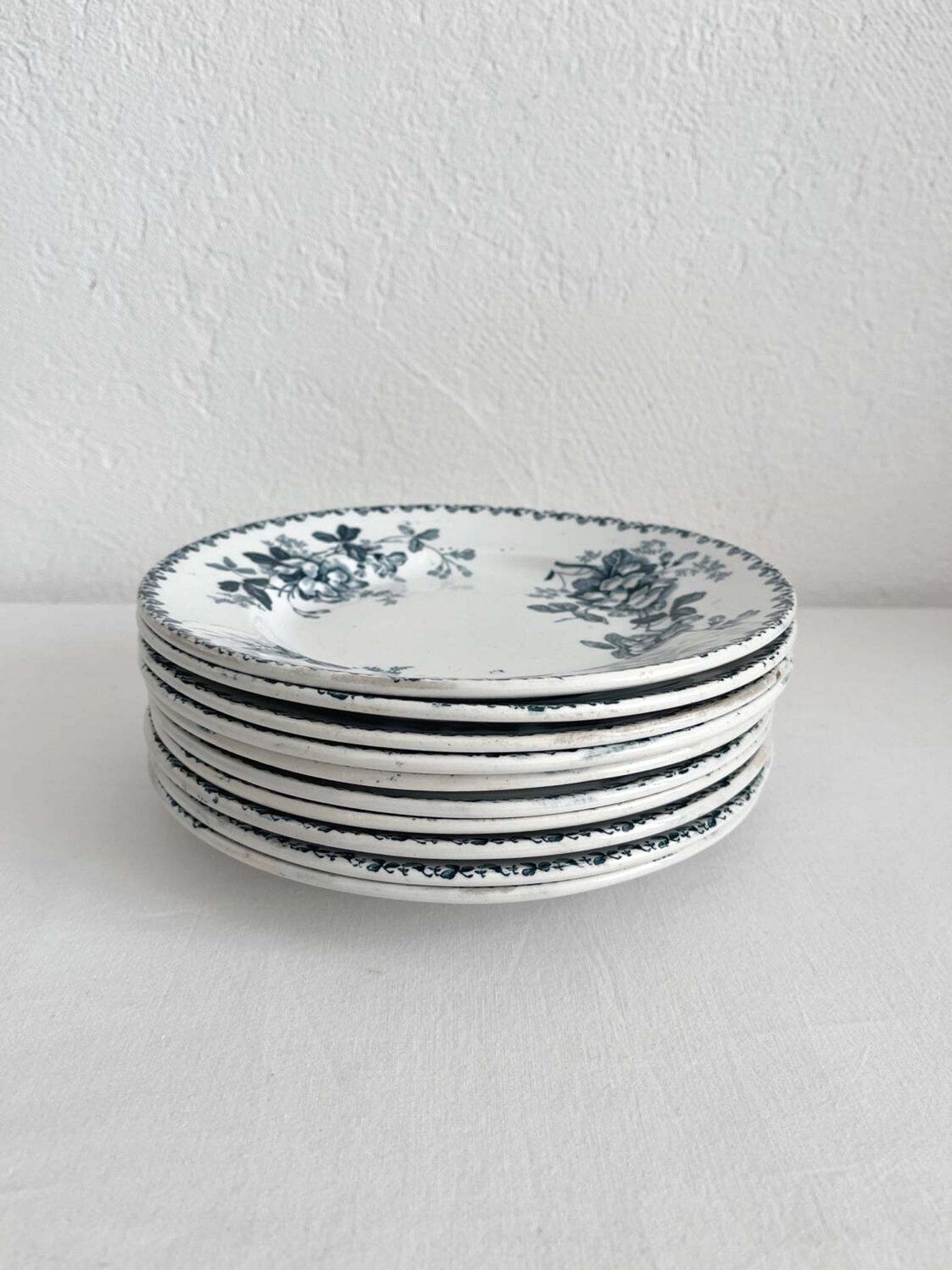 10 flat plates in iron earth “Acacia” Moulin des Loups and Hamage