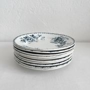 10 flat plates in iron earth “Acacia” Moulin des Loups and Hamage