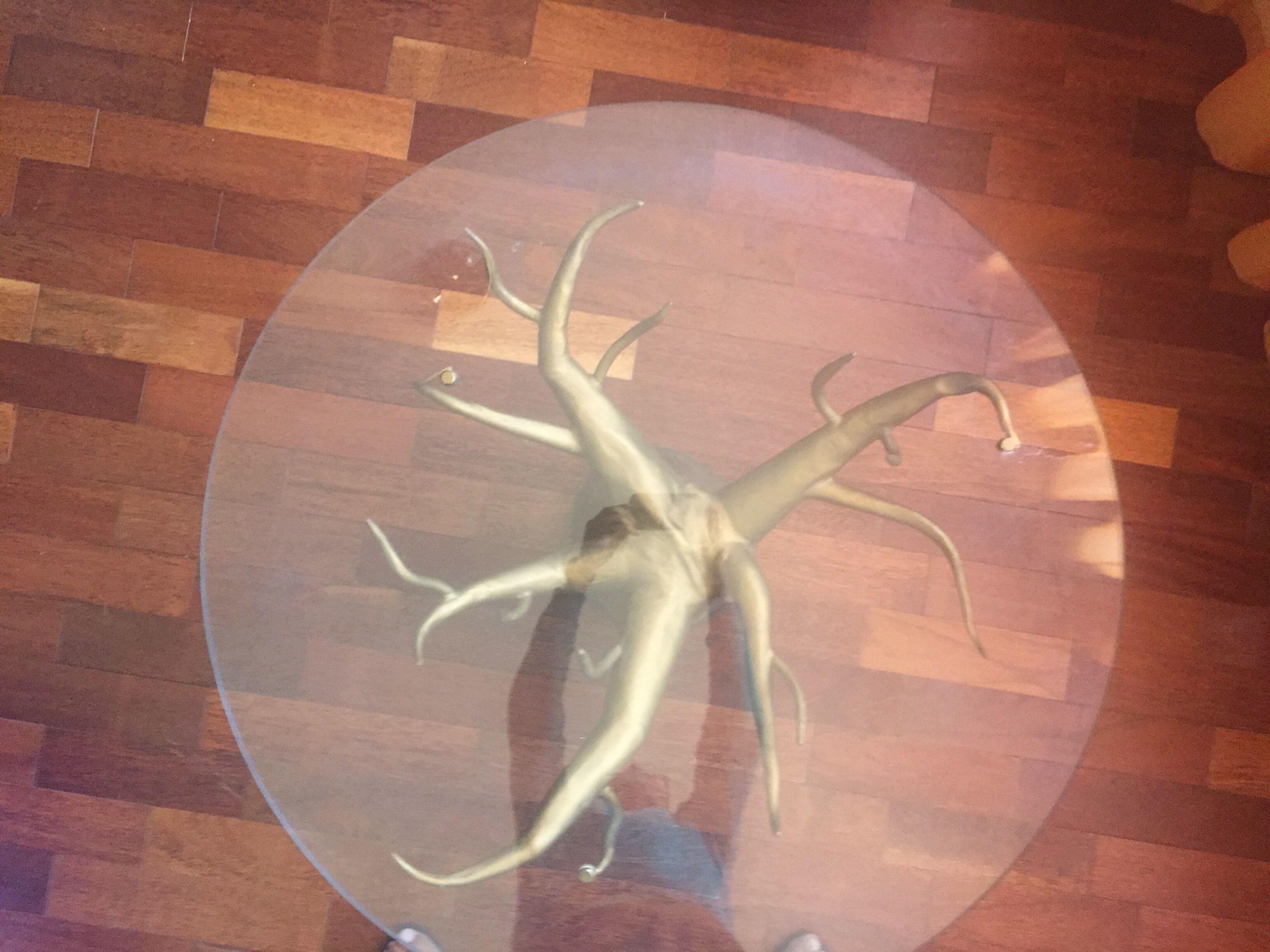 Coffee table glass foot baobab