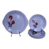 Set of 6 dessert plates and its cake dish Moulin des Loups.