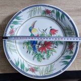 Japanese Tao Mei Toucan Plate