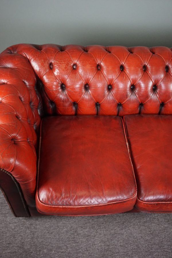 Chesterfield sofa 3 places in cowhide leather