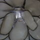 Mother-of-pearl lotus table lamp, Rausch, vintage space age
