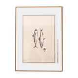 "Mackerel and Sardine"