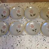 8 dessert plates
