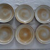 6 flat plates in sandstone from the marais france