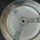 Large globe ceiling light
